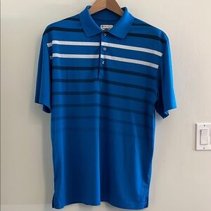 Hogan Blue and White Polo Shirt with Classic Stripes